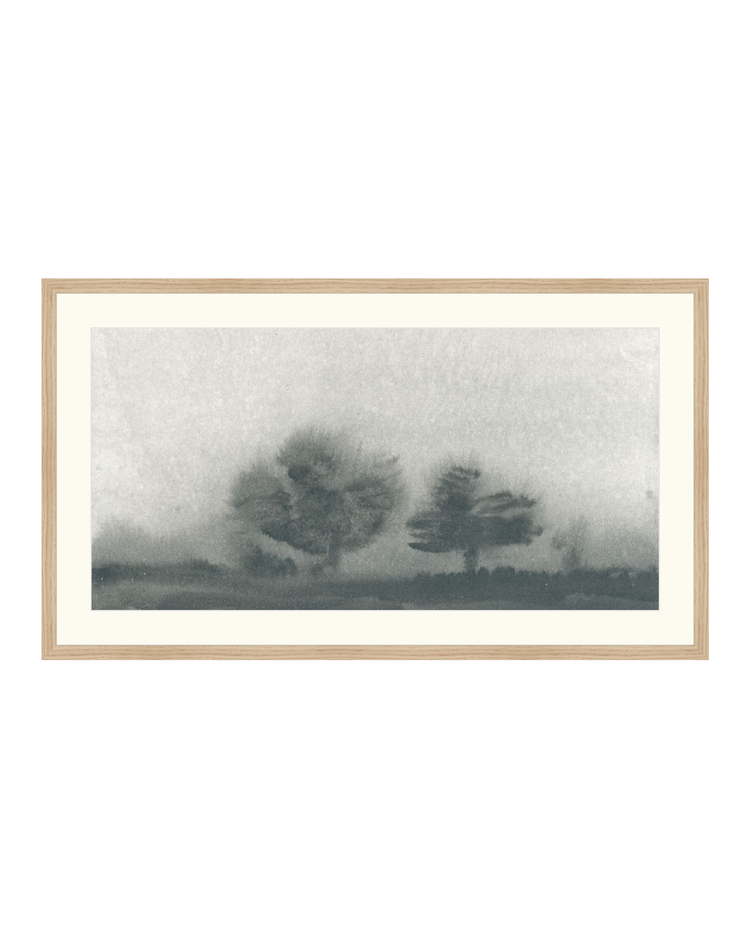 Trees in the Mist Landscape