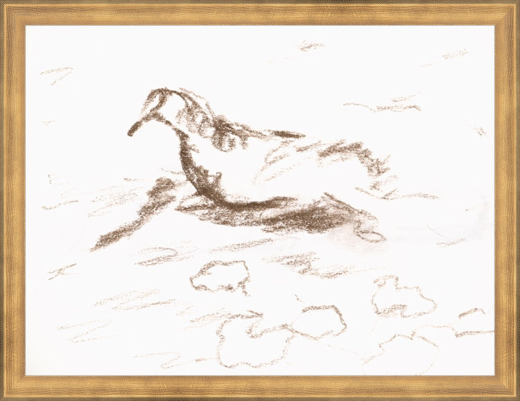 Framed Wannsee Duck. Frame: Timeless Gold. Paper: Rag Paper. Art Size: 12x16. Final Size: 13'' X 17''
