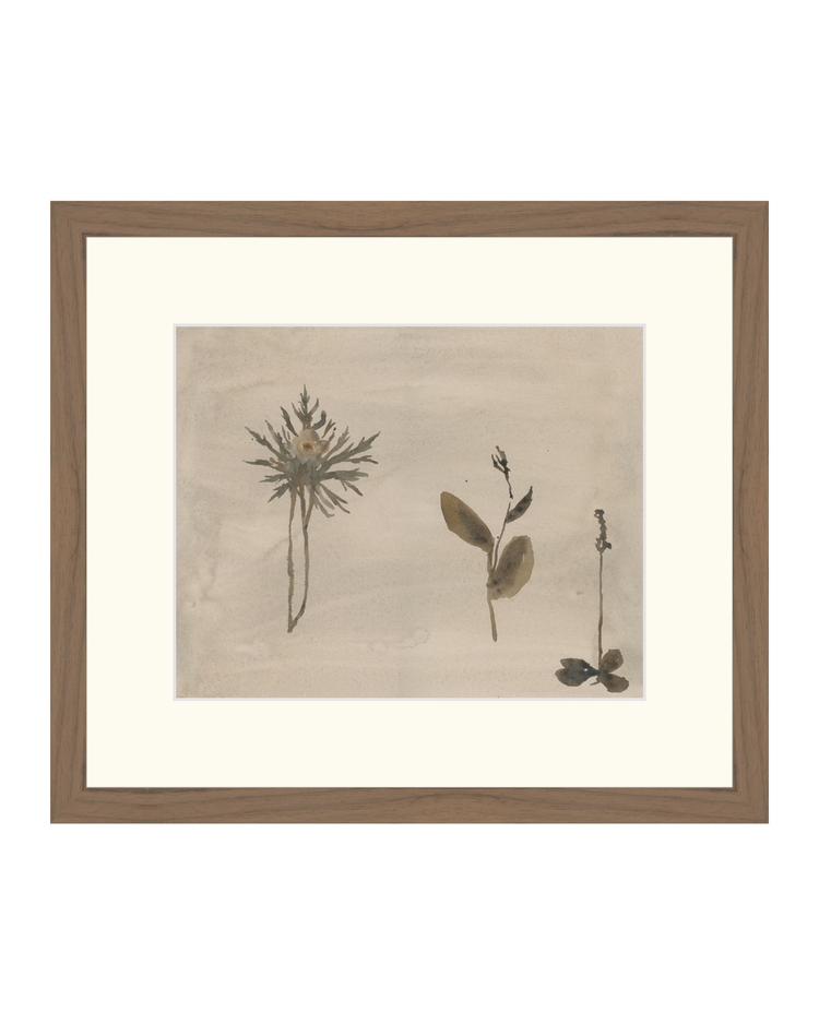 Botanical Thoughts IV