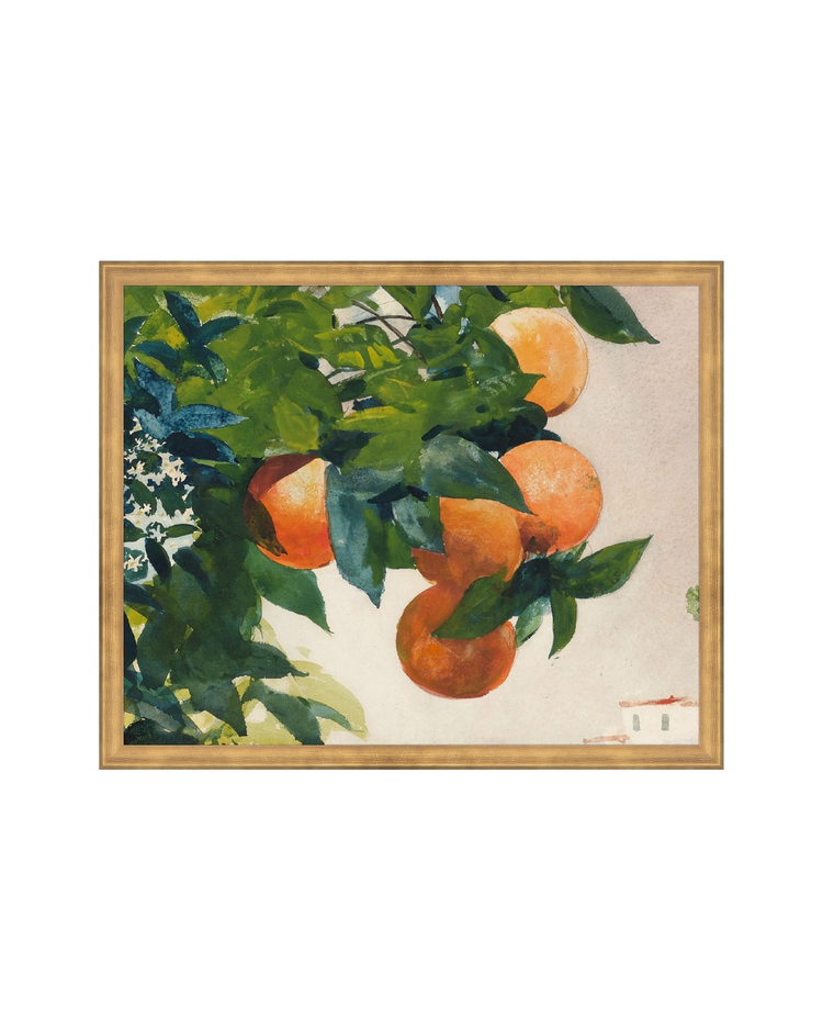 Fruit and Branch