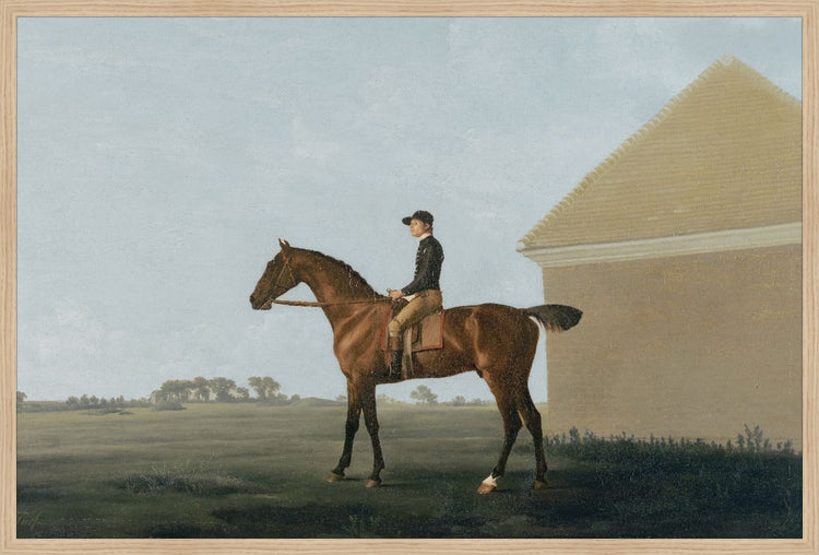 The Country Gentleman