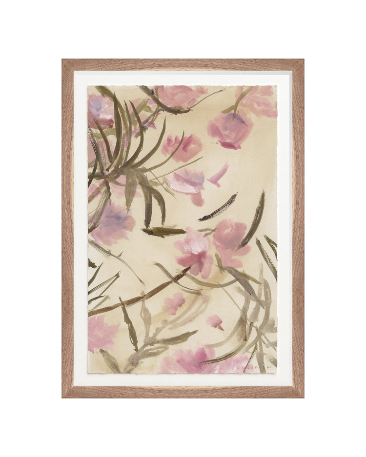 Pink Adelfa