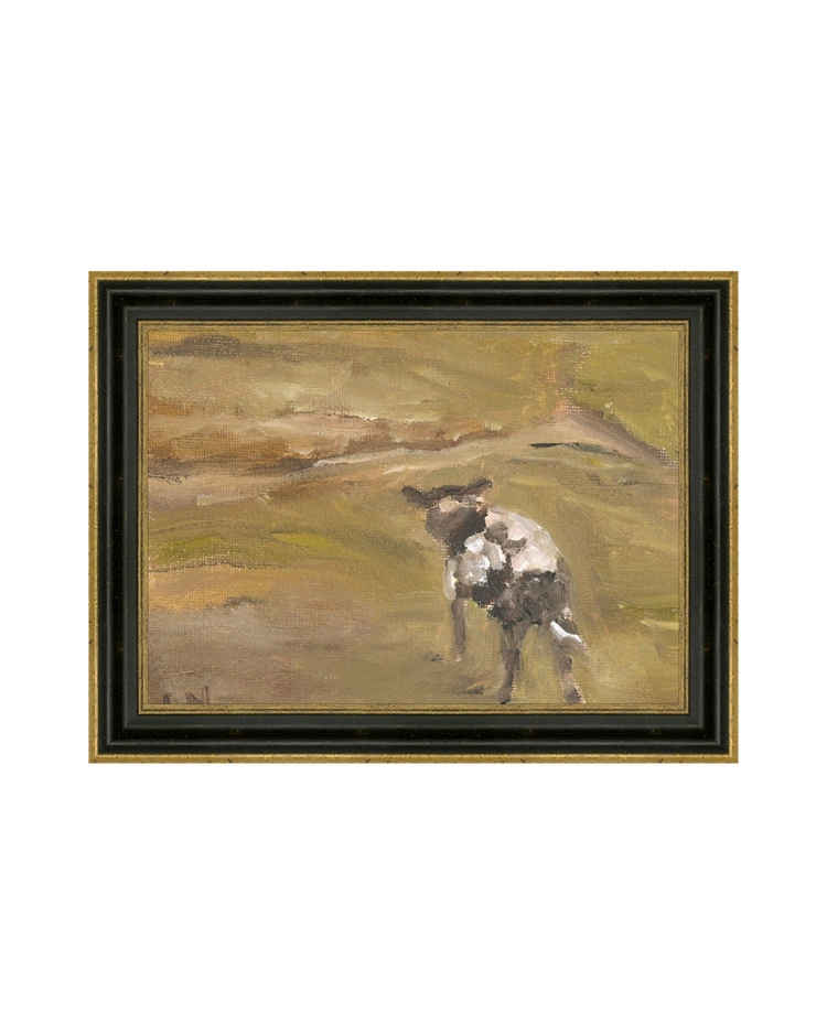 Sheep in the Field
