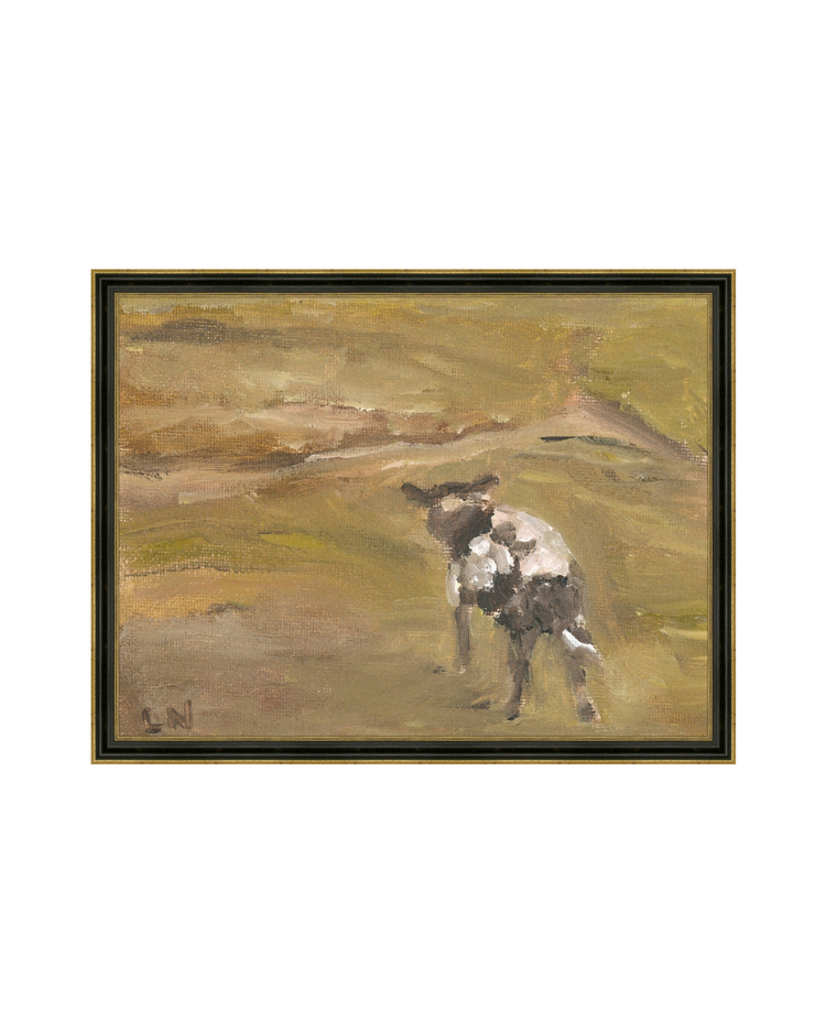 Sheep in the Field