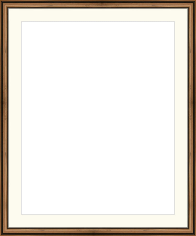 Traditional Bronze Frame. Opening Size: 20x16. Final Size: 24'' X 20''