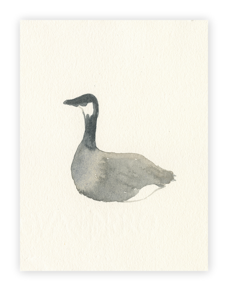 Unframed Smooth Print / 18 x 24