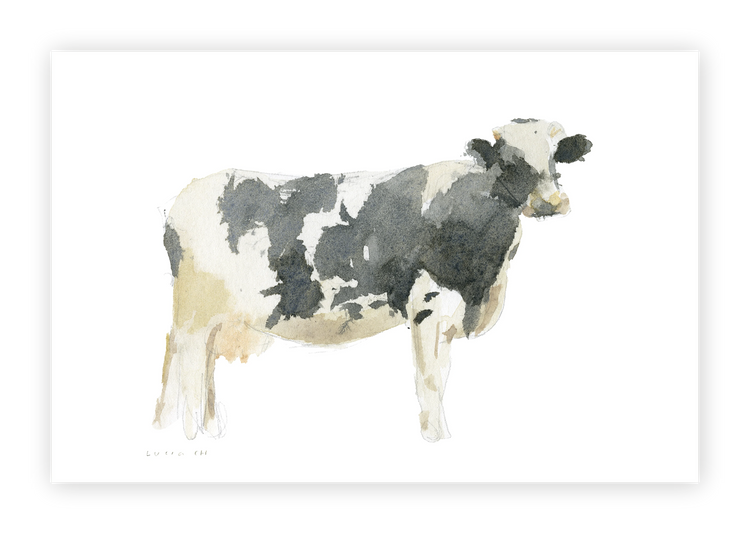 Unframed Smooth Print / 36 x 24