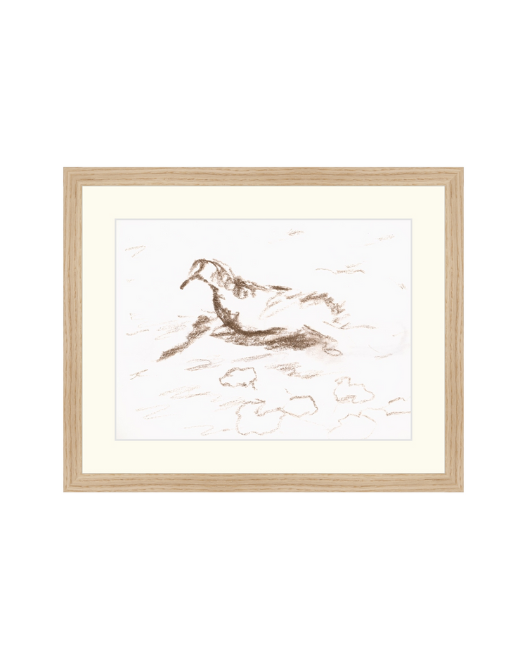Wannsee Duck