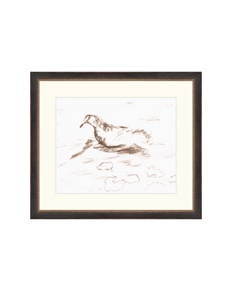 Wannsee Duck