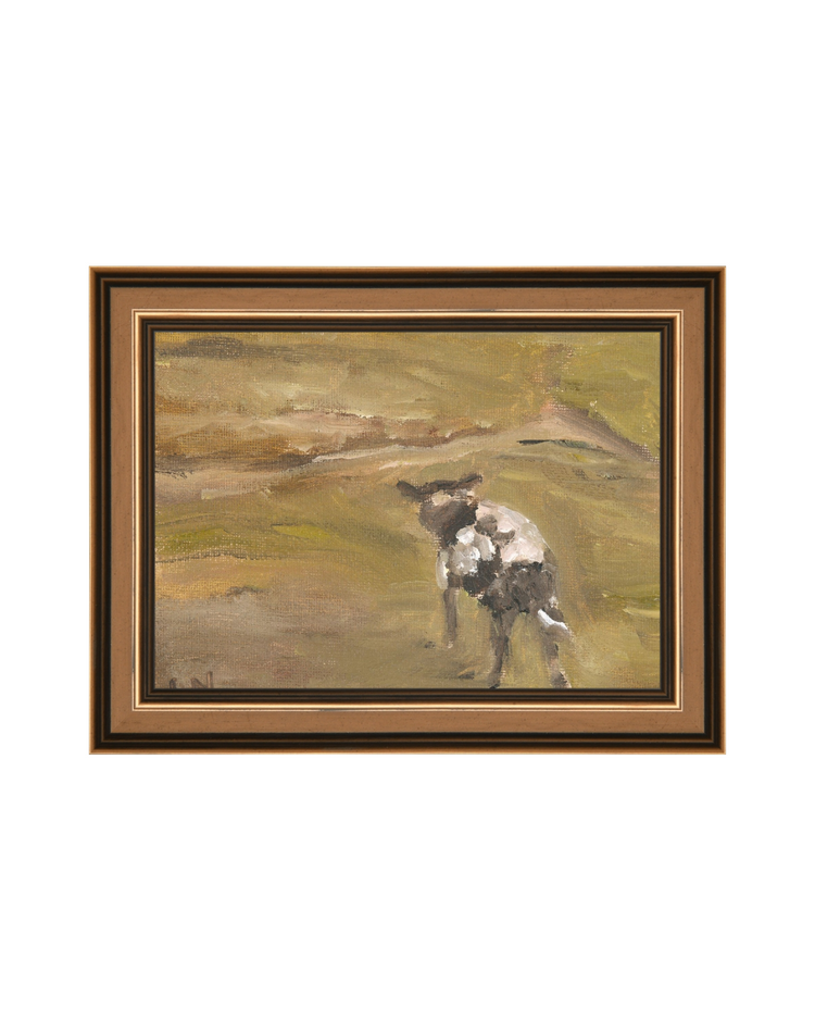 Sheep in the Field