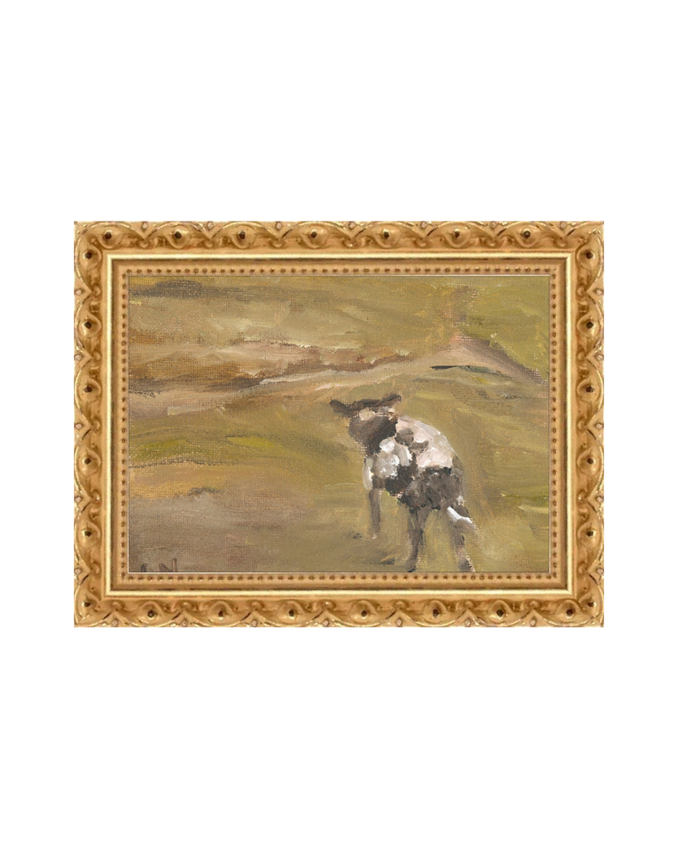 Sheep in the Field