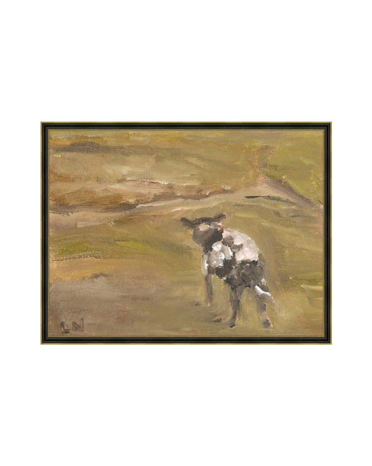 Sheep in the Field