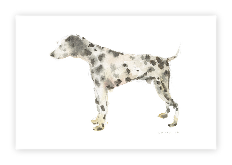 Unframed Smooth Print / 36 x 24