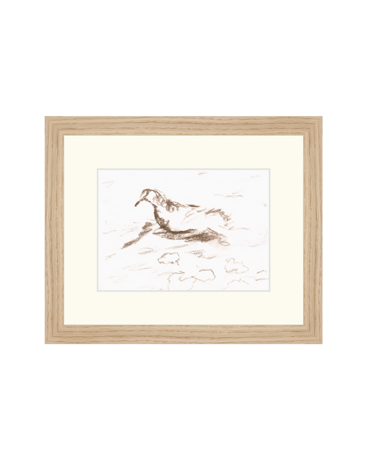 Wannsee Duck
