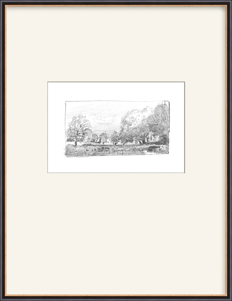 Charcoal Trees 1 - Custom Framed Print with Mat