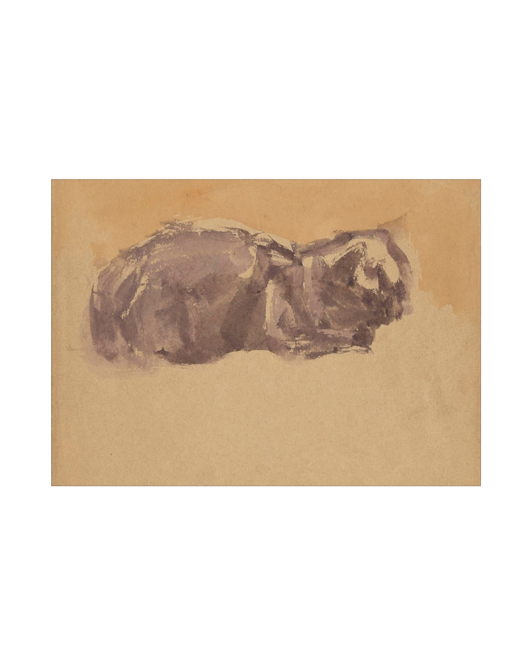 Watercolor Cat