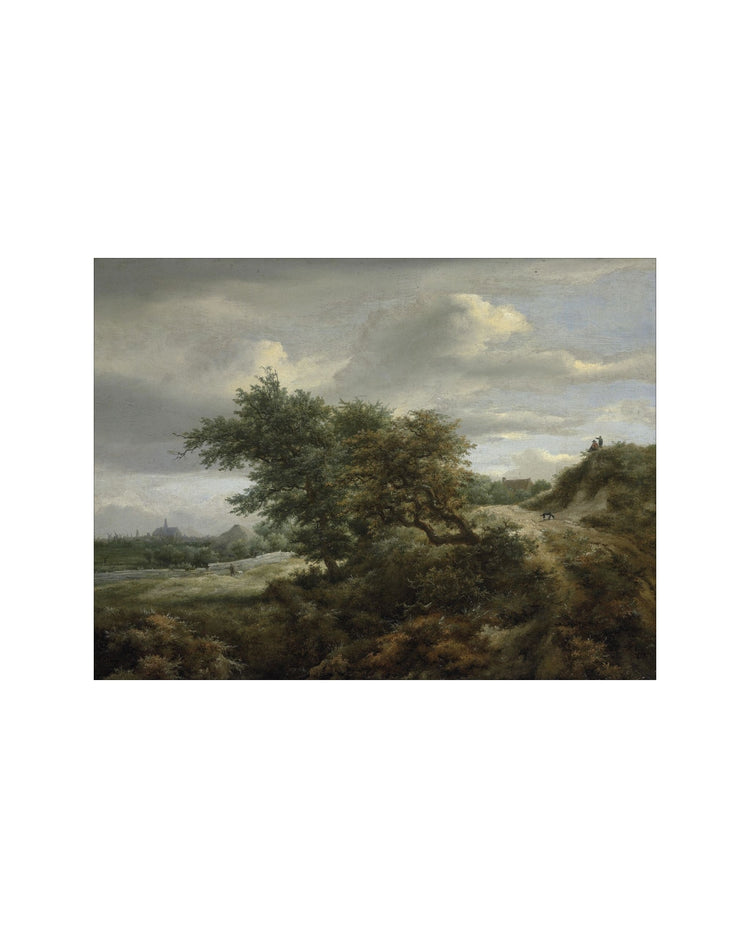Path Through The Dunes