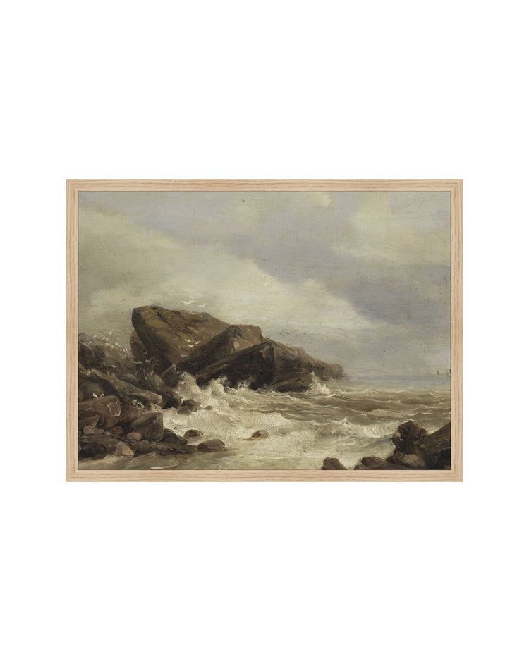 Stormy Coastline