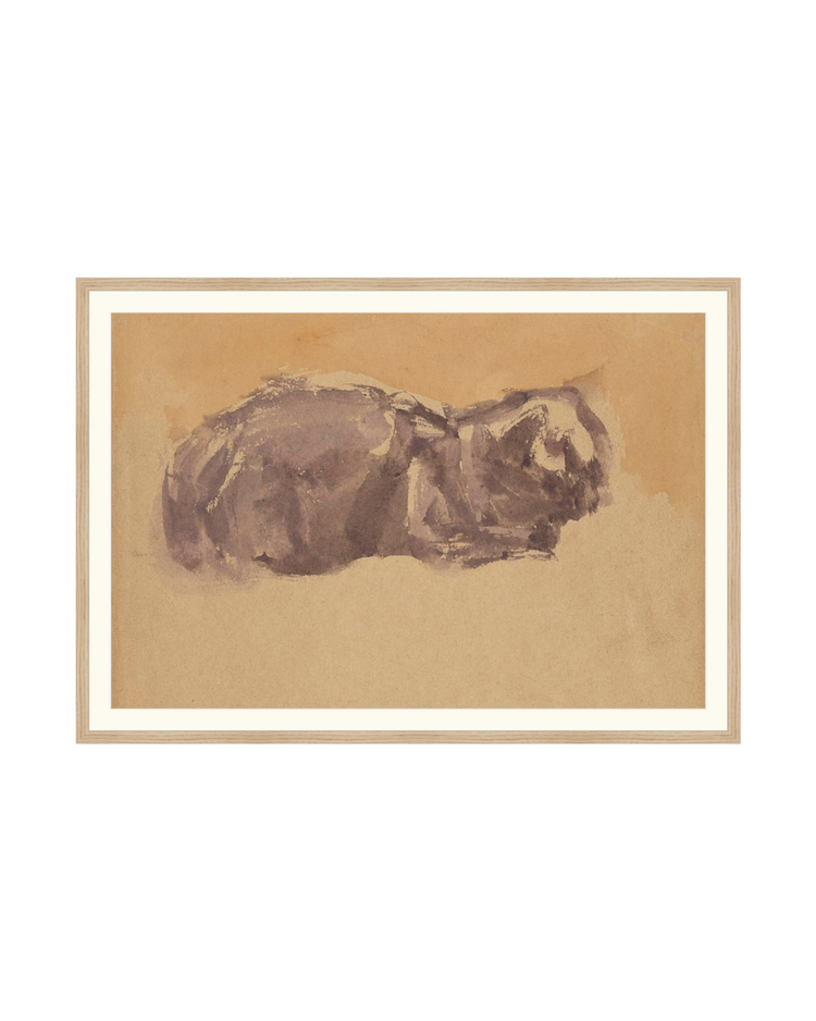 Watercolor Cat