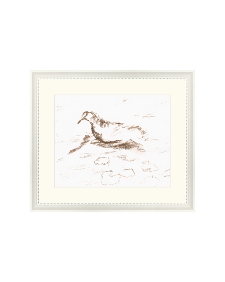 Wannsee Duck