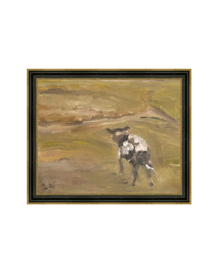 Sheep in the Field