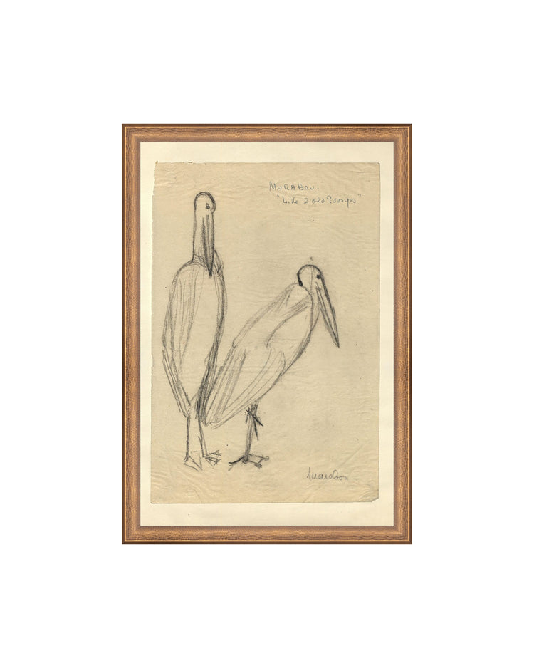 Bird Sketch
