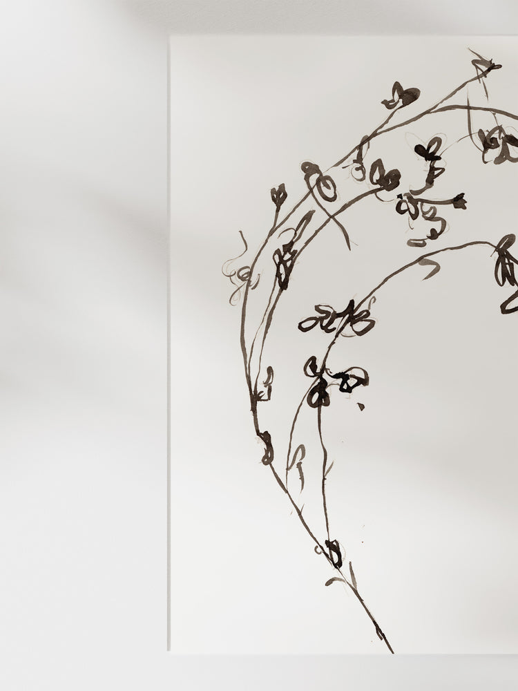 Botanical Ink Study I