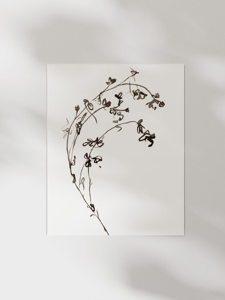 Botanical Ink Study I