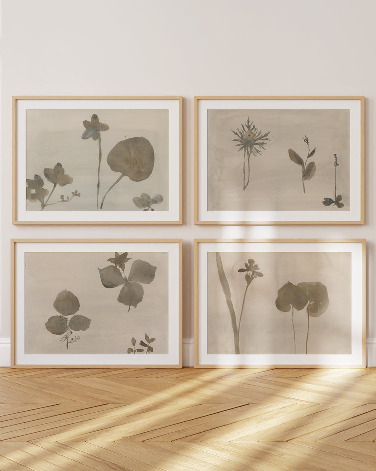 Botanical Thoughts III