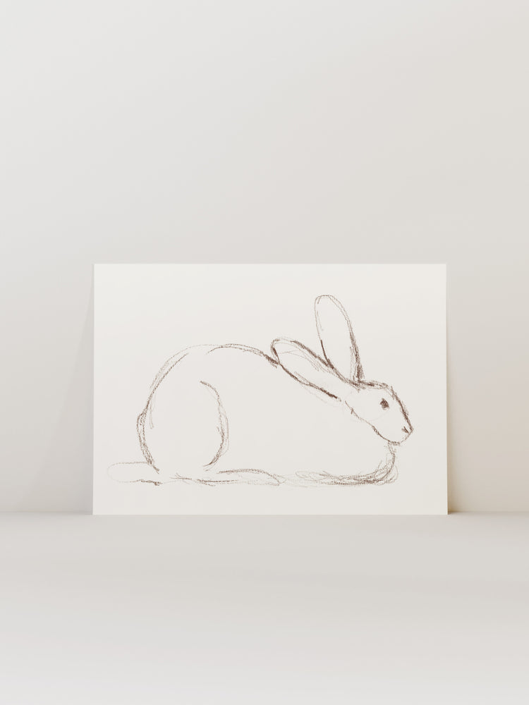 Bunny Charcoal Sketch
