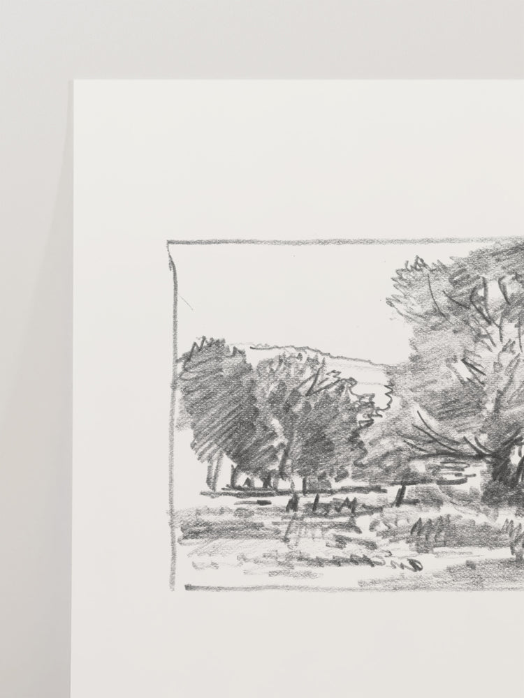 Charcoal Trees 3