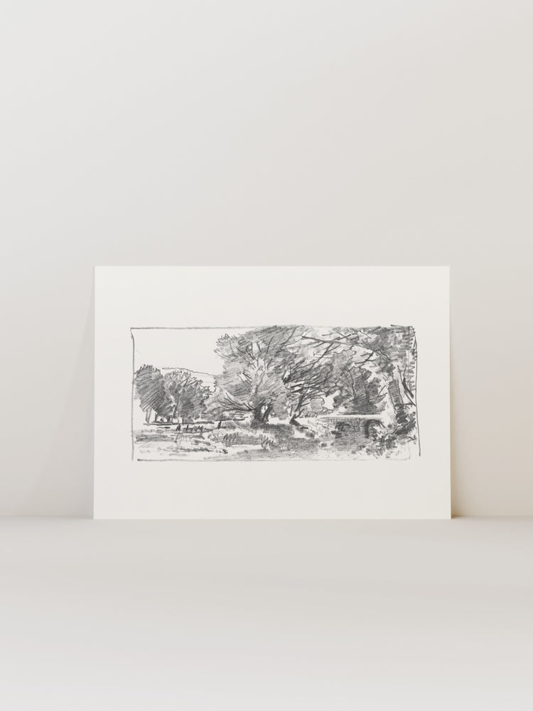 Charcoal Trees 3