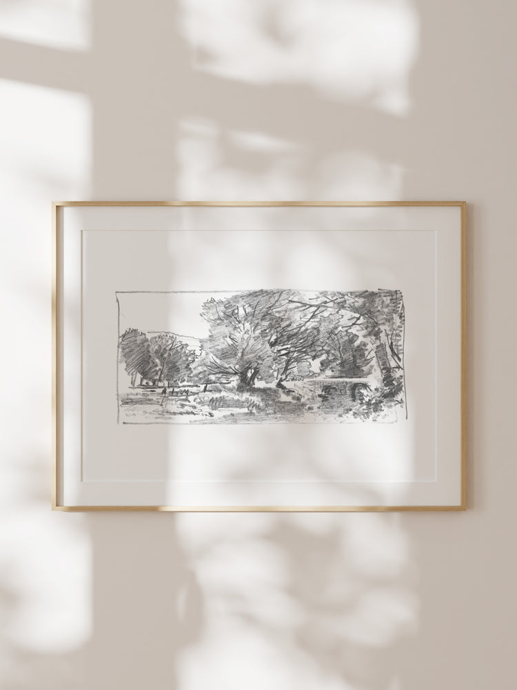 Charcoal Trees 3
