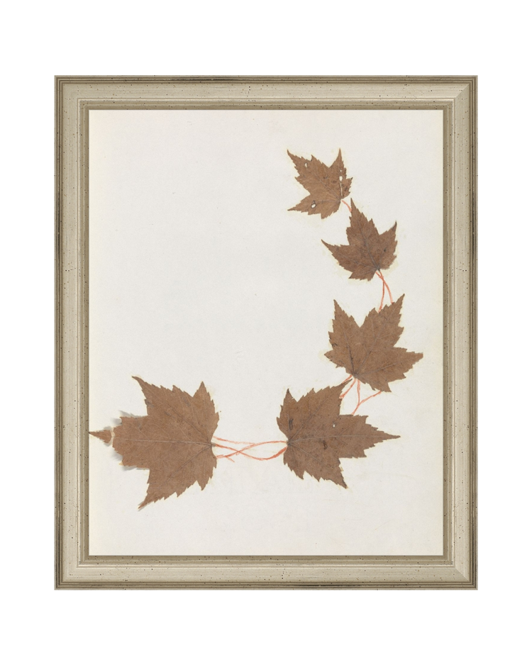 Autumnal Study I HoJ