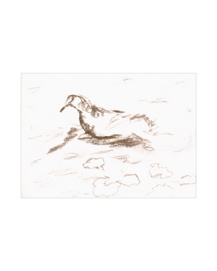 Wannsee Duck