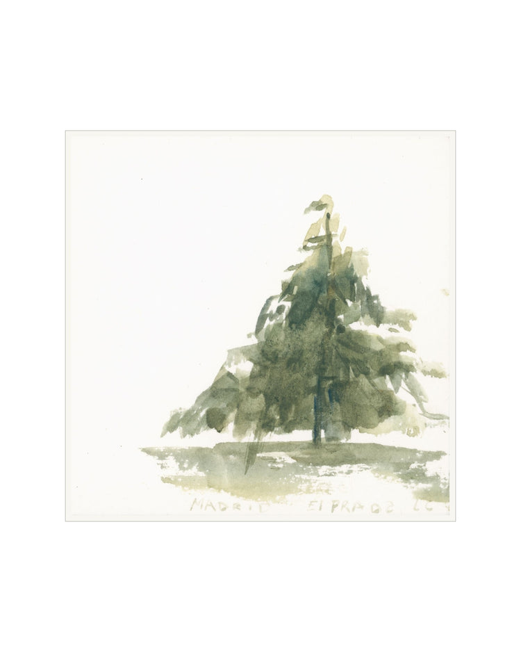 Pine Studies III