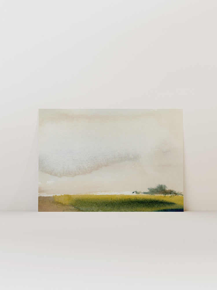 Dream Meadow
