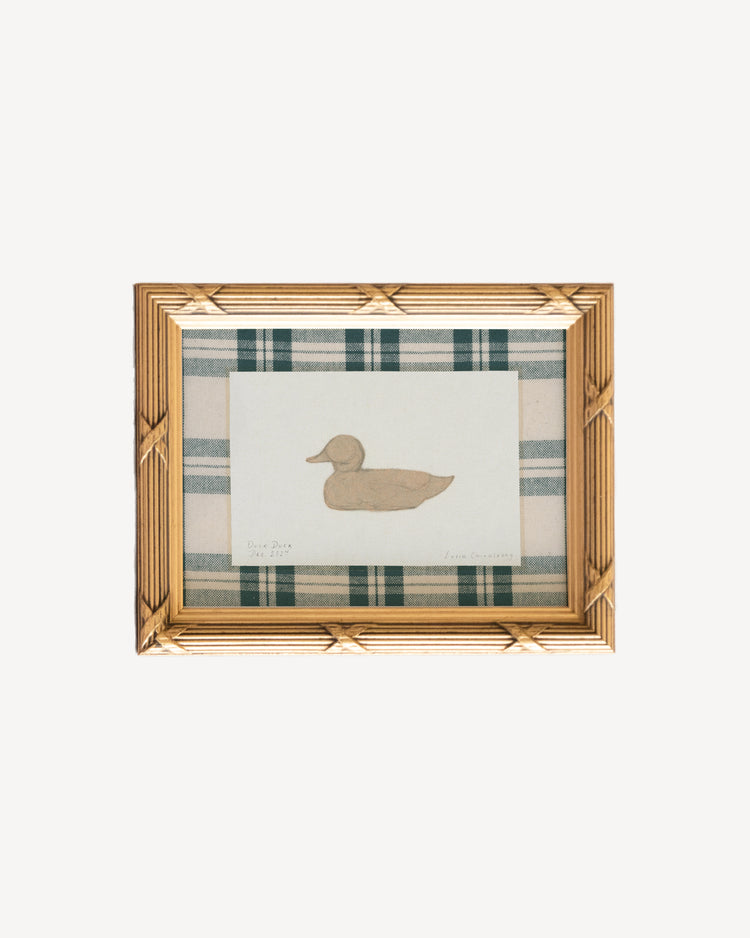 Duck