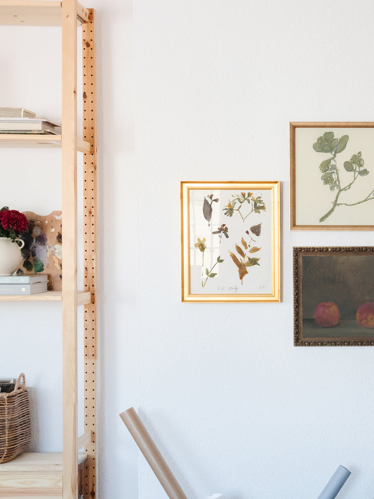 E.D Botanical Study