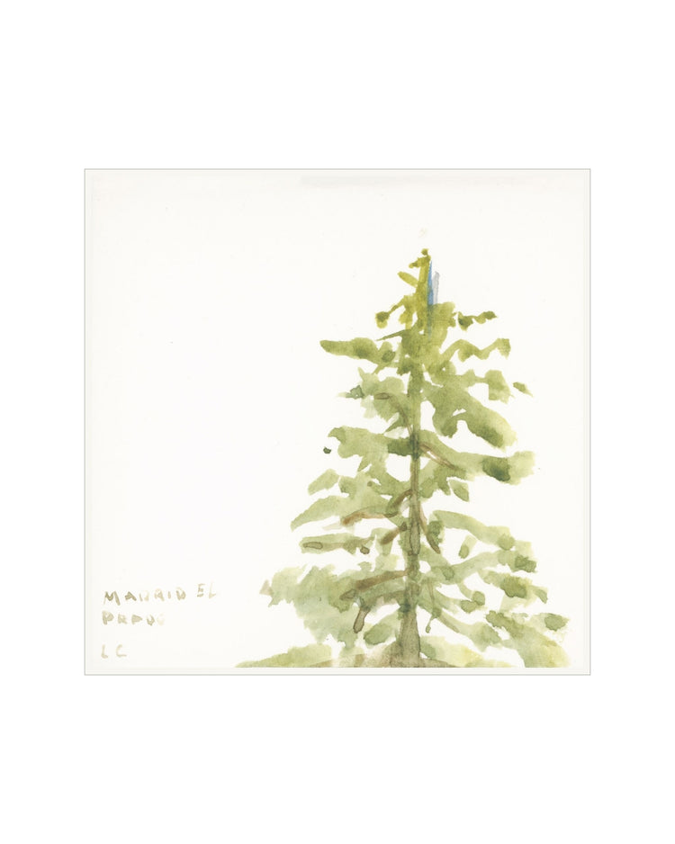 Pine Studies I