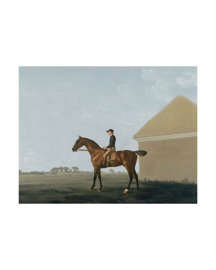 The Country Gentleman