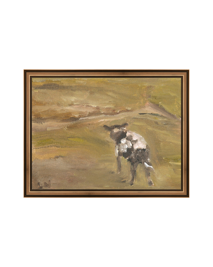 Sheep in the Field