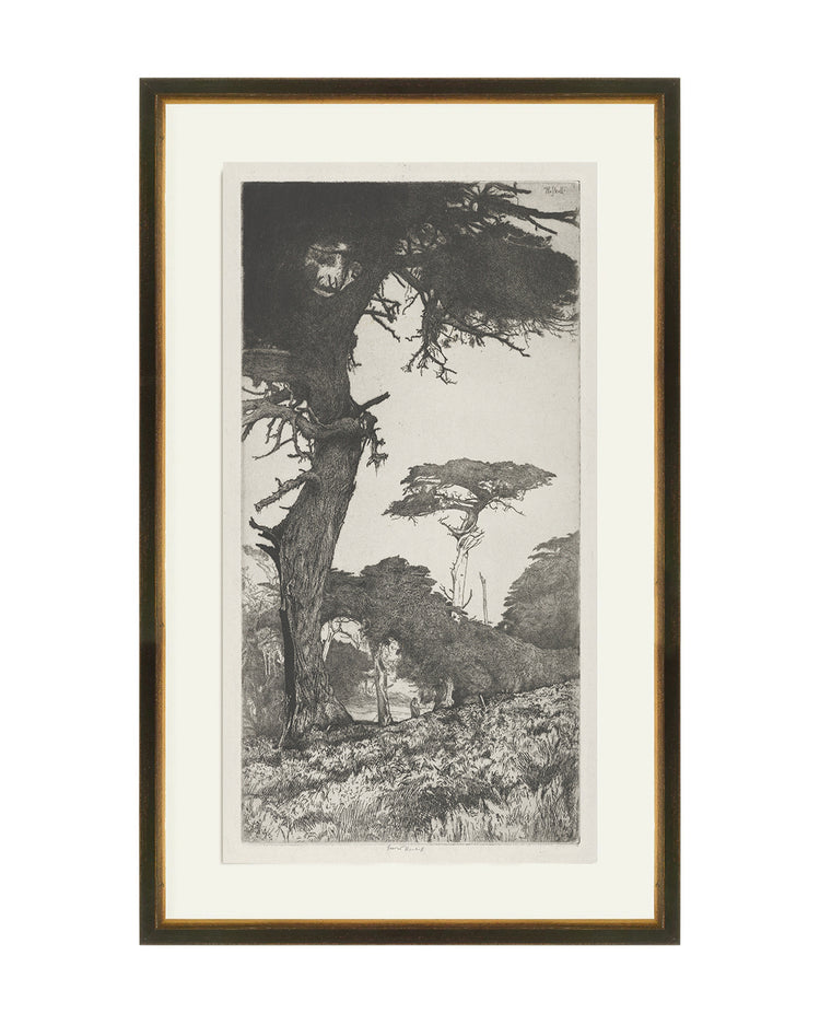 Trees Etching 6