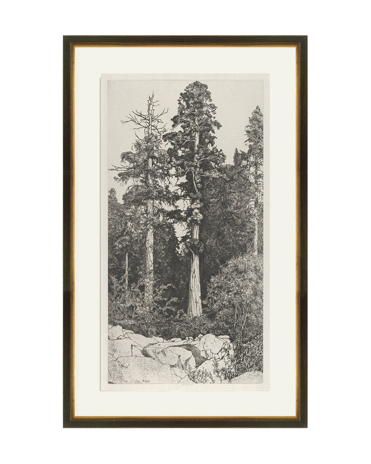 Trees Etching 5