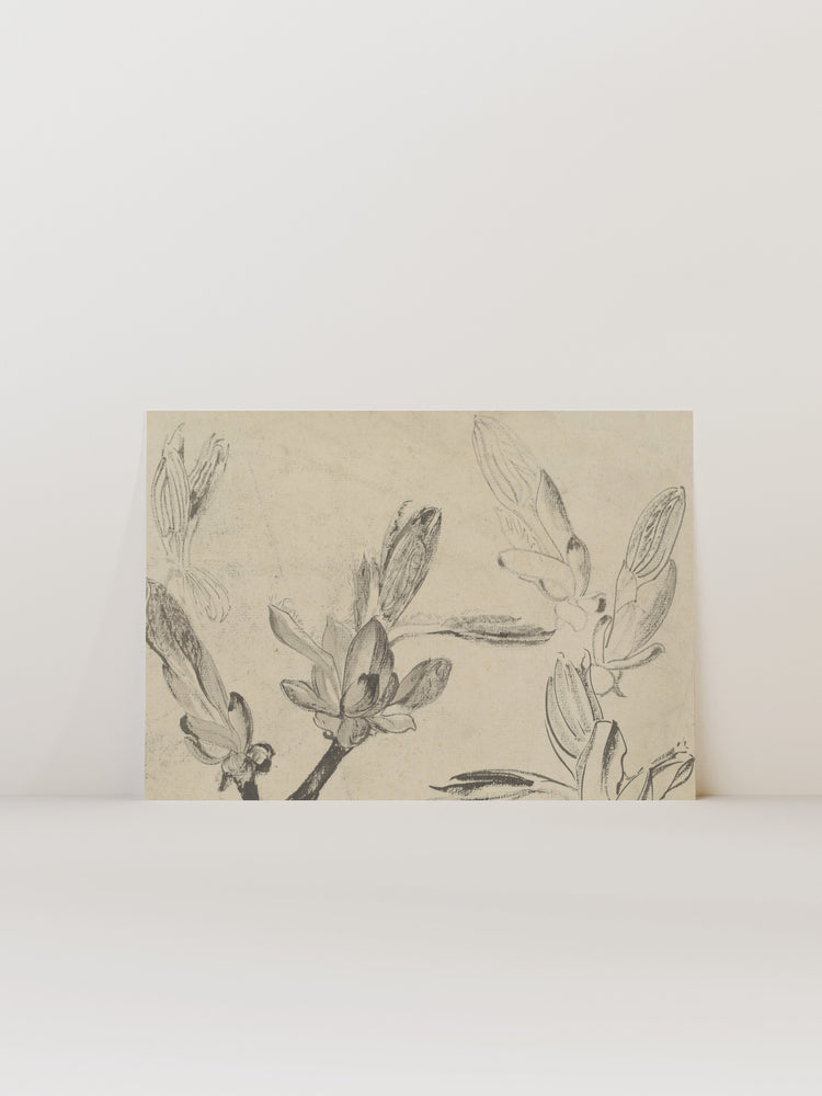 Floral Drawing III