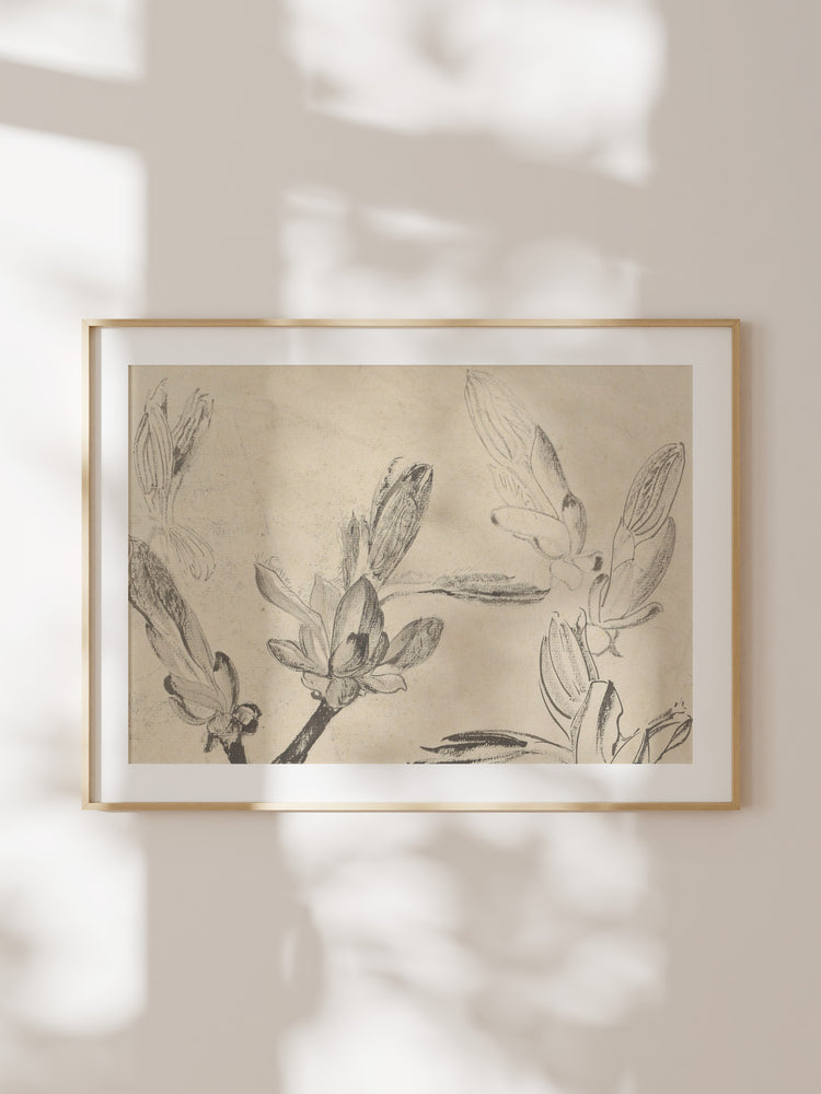Floral Drawing III
