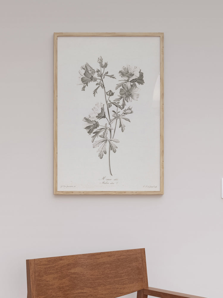 Floral Drawing