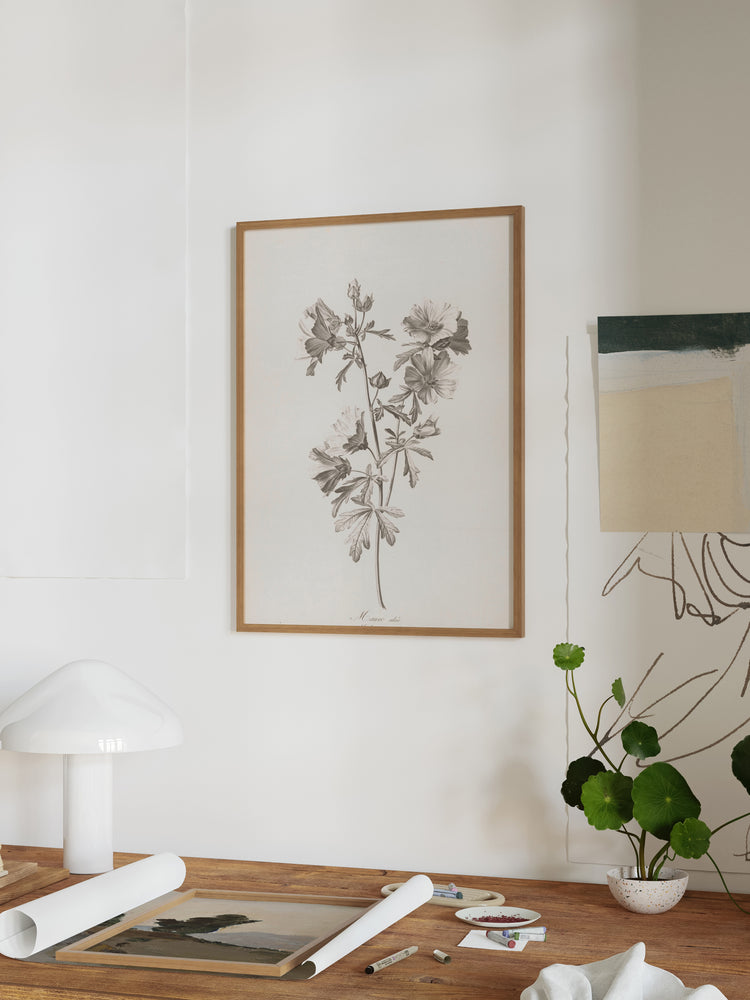 Floral Drawing