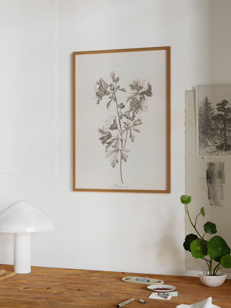 Floral Drawing