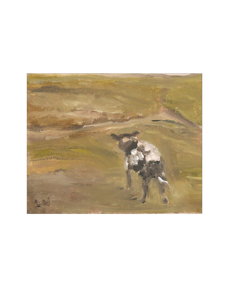 Sheep in the Field